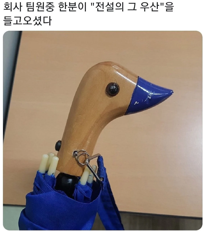 썸네일-전설의 그 우산-이미지