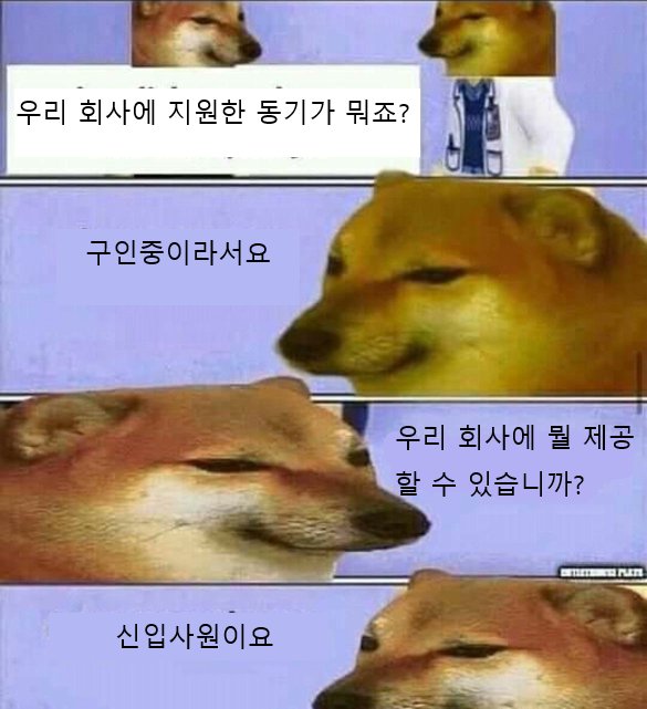 썸네일-입사지원서에 쓸 말이 없어서 이렇게 써야됨-이미지