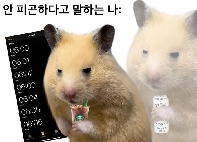 썸네일-안 피곤하다고 말하는 나-이미지