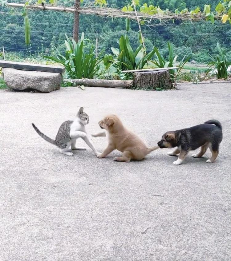 썸네일-맞고 있는데 친구가 나만 말림...jpg-이미지