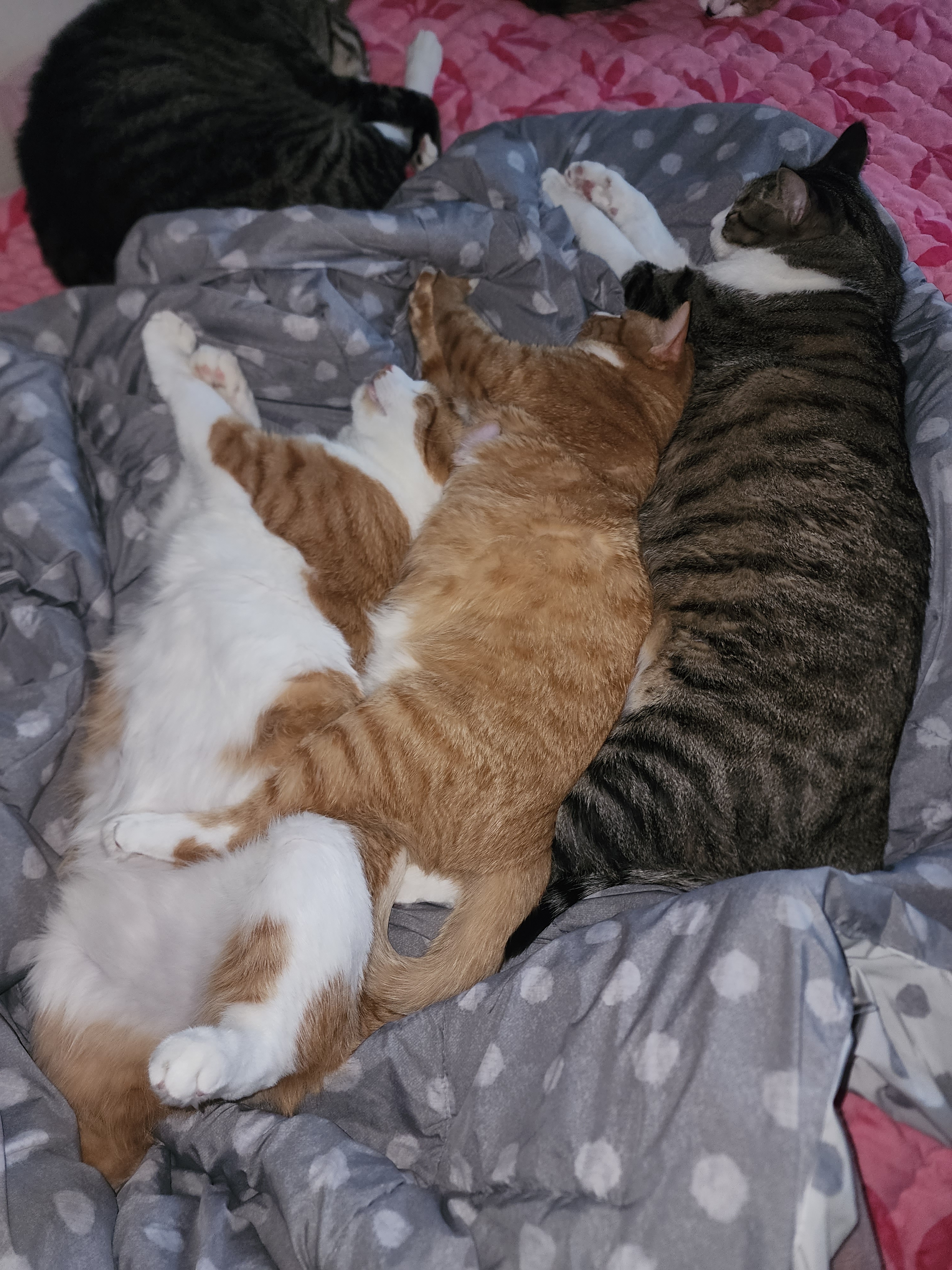 썸네일-나란히 나란히-이미지