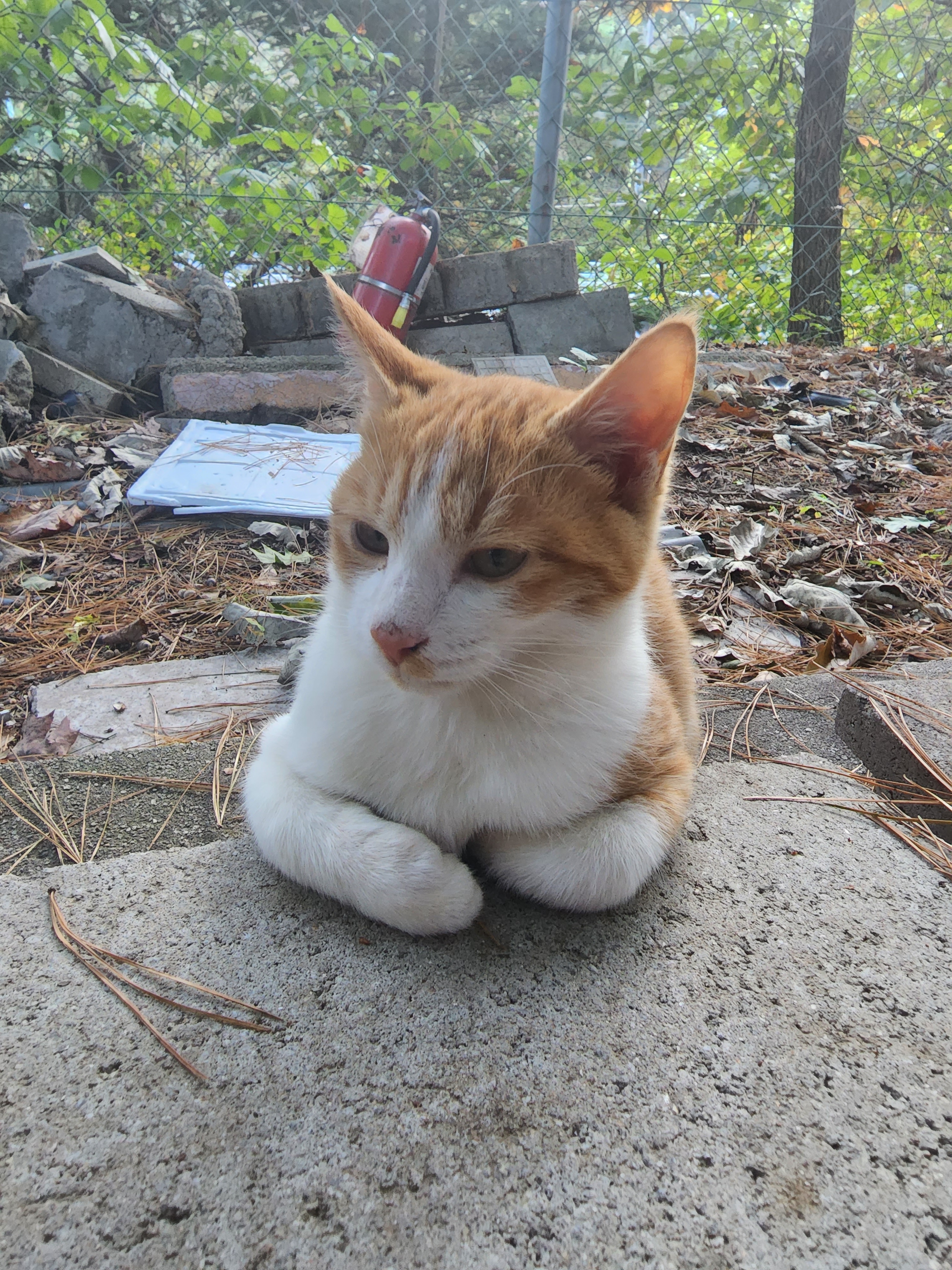 썸네일-이아이는 자라서-이미지