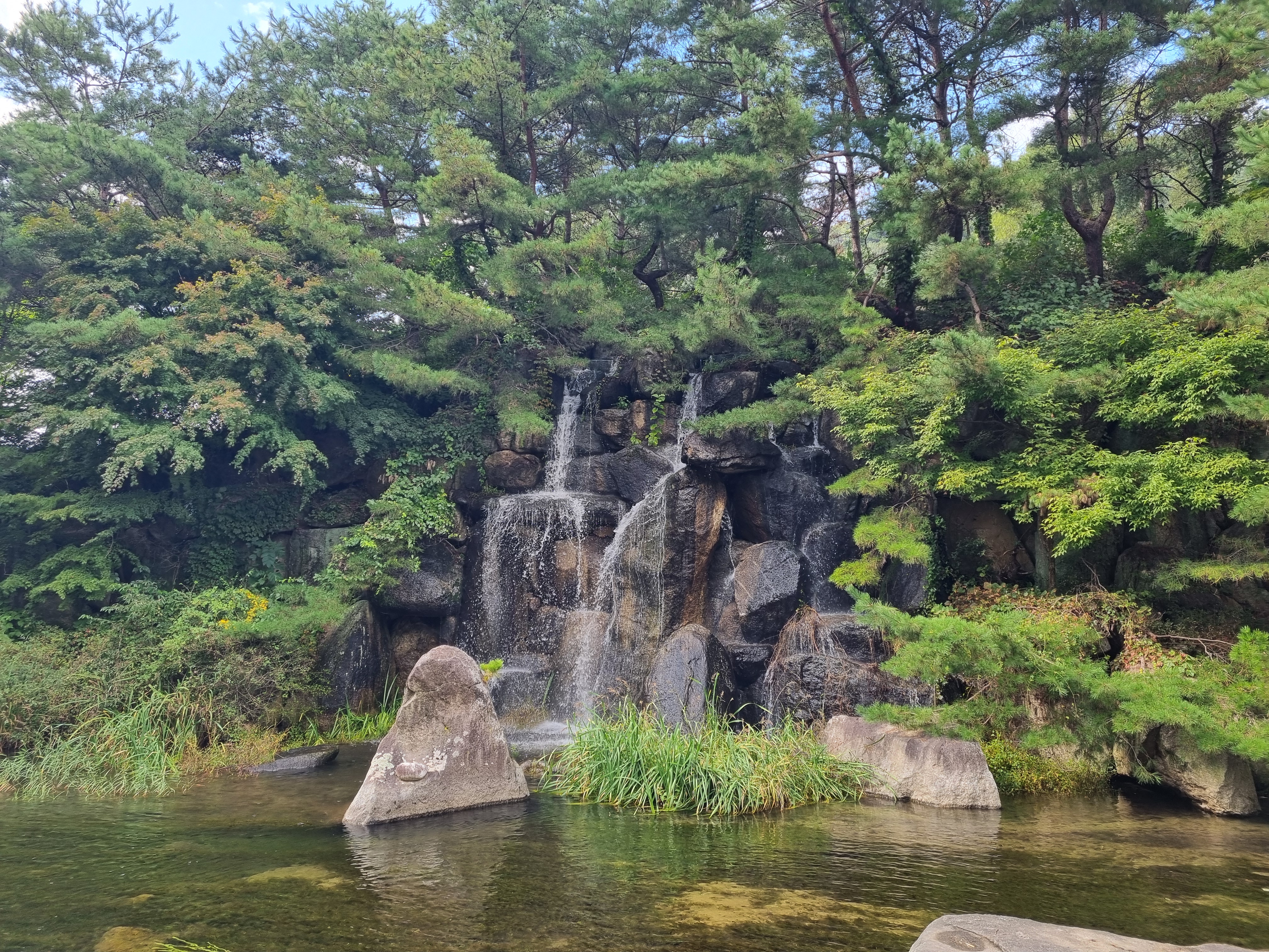 nokbeon.net-가을꽃-36번 이미지