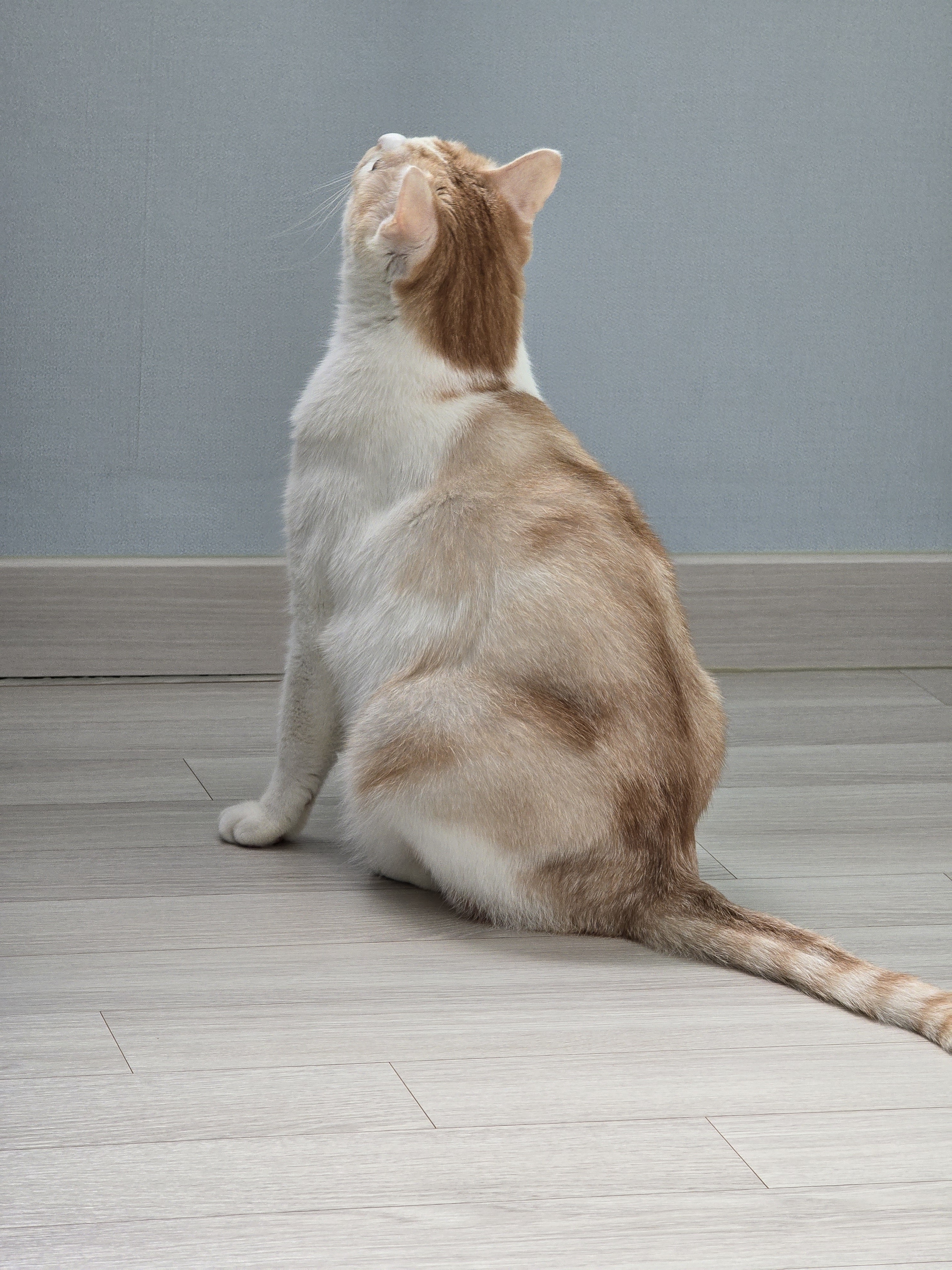 nokbeon.net-가을 타나 봄 ~-1번 이미지