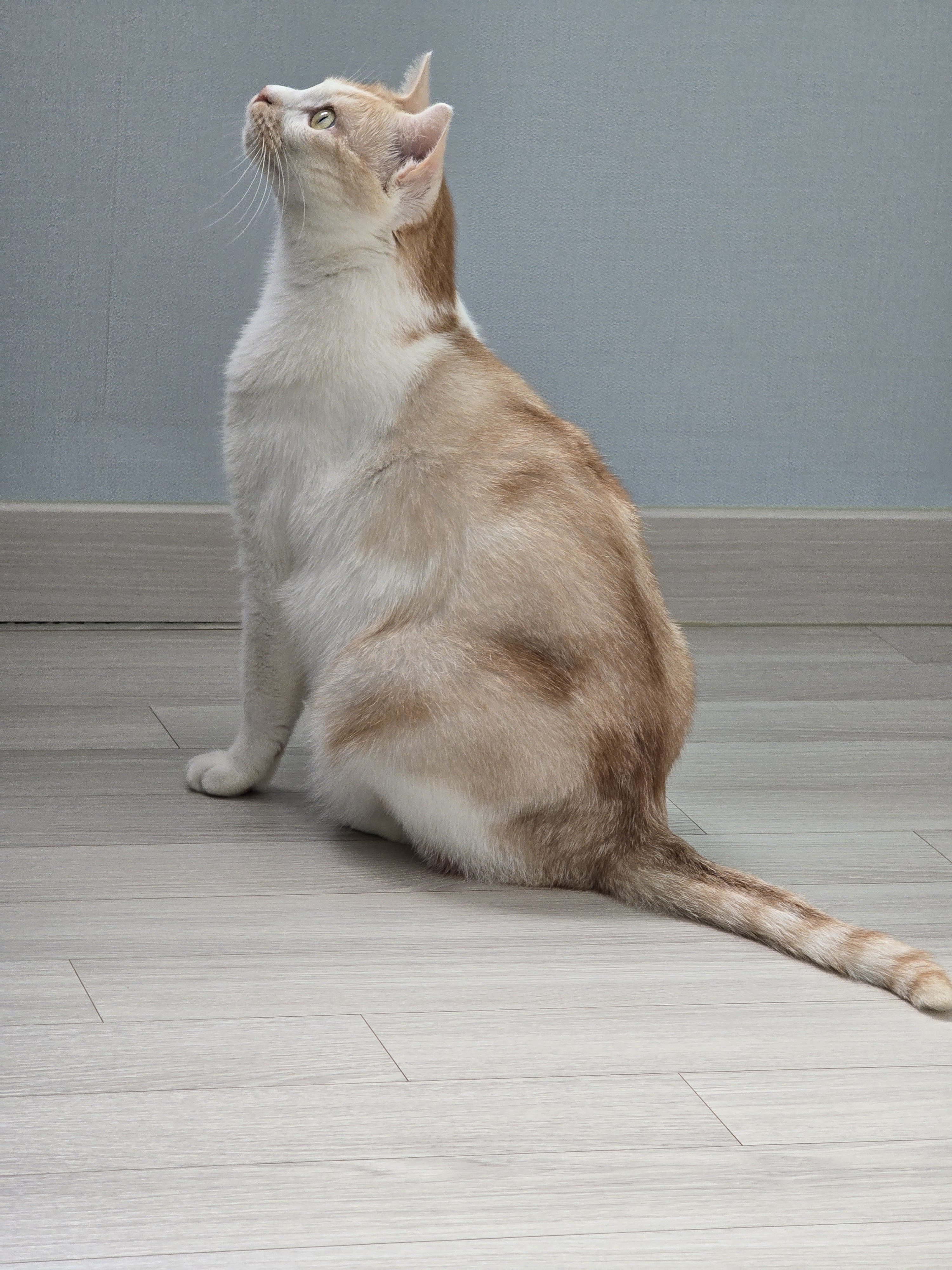 nokbeon.net-가을 타나 봄 ~-2번 이미지