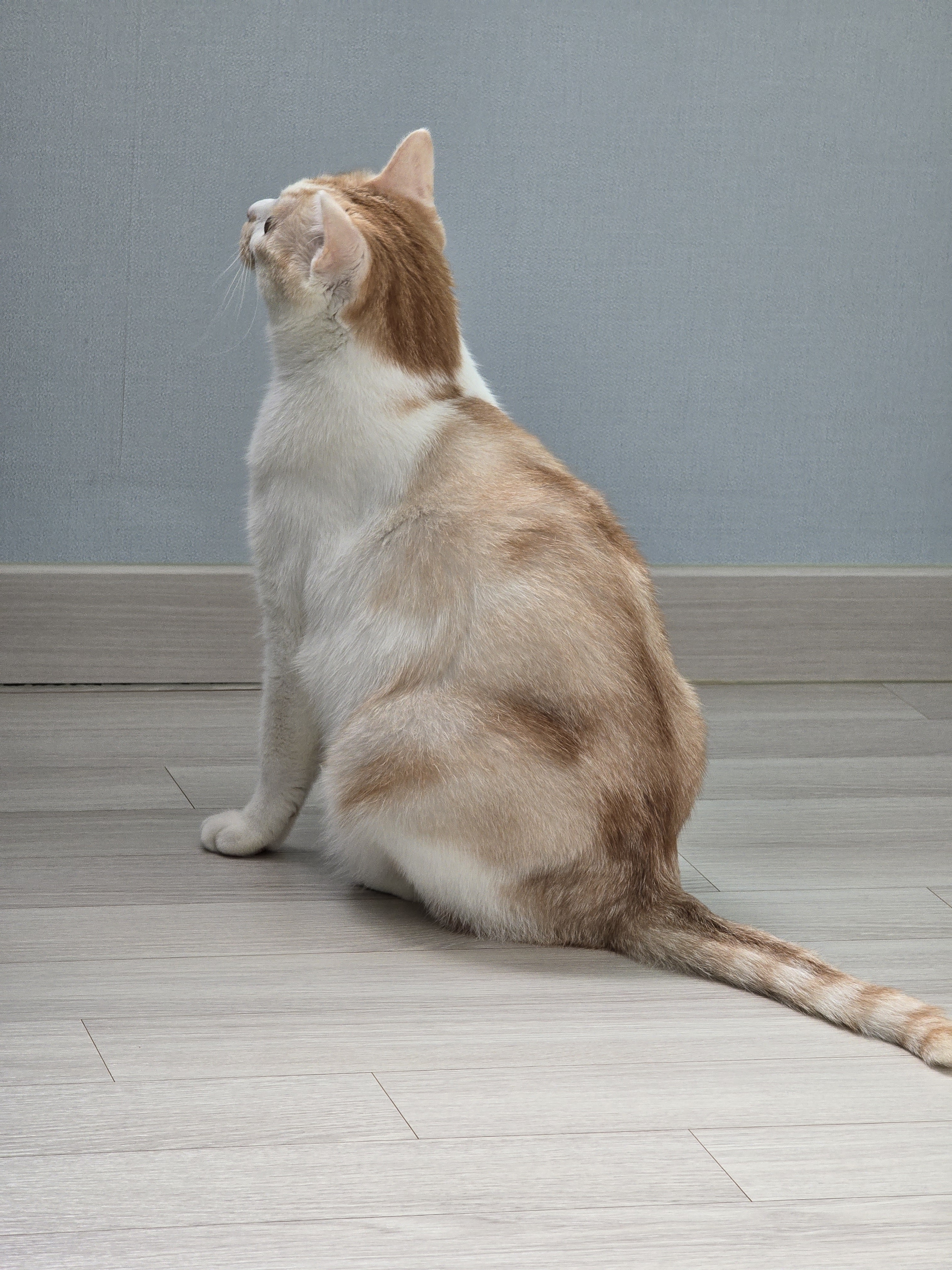 nokbeon.net-가을 타나 봄 ~-3번 이미지