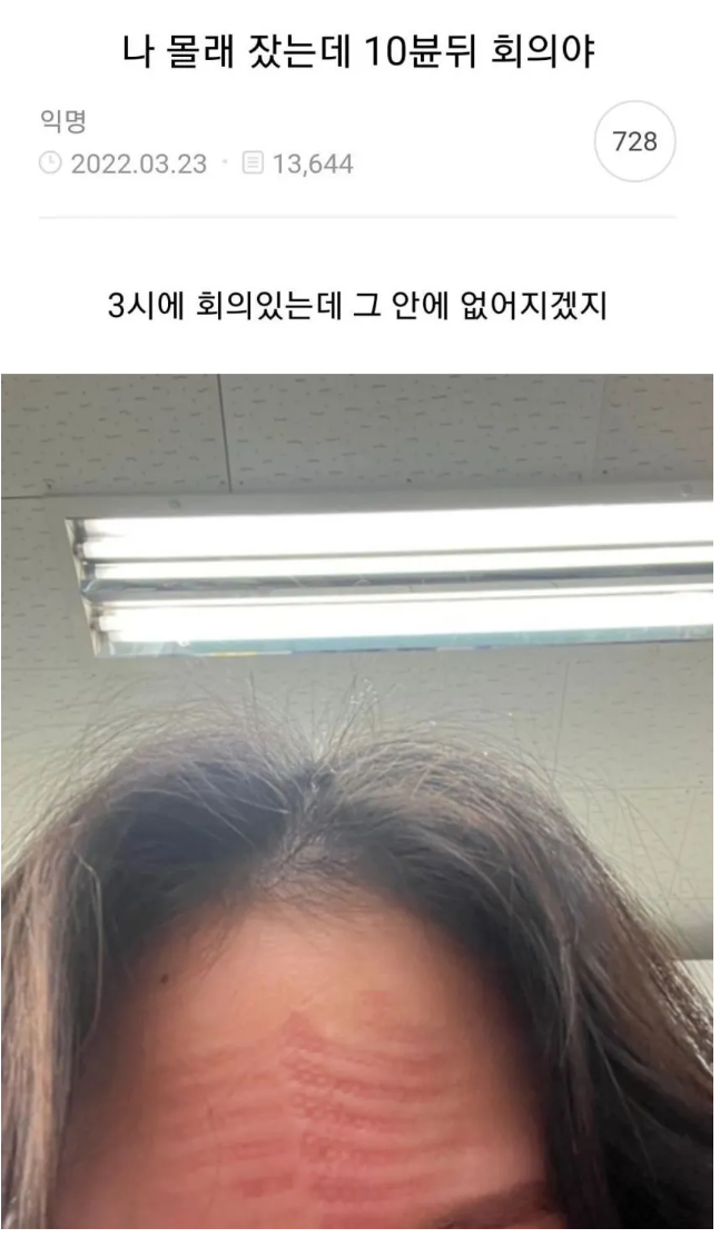 썸네일-나 몰래 잤는데 10분 뒤 회의야.jpg-이미지