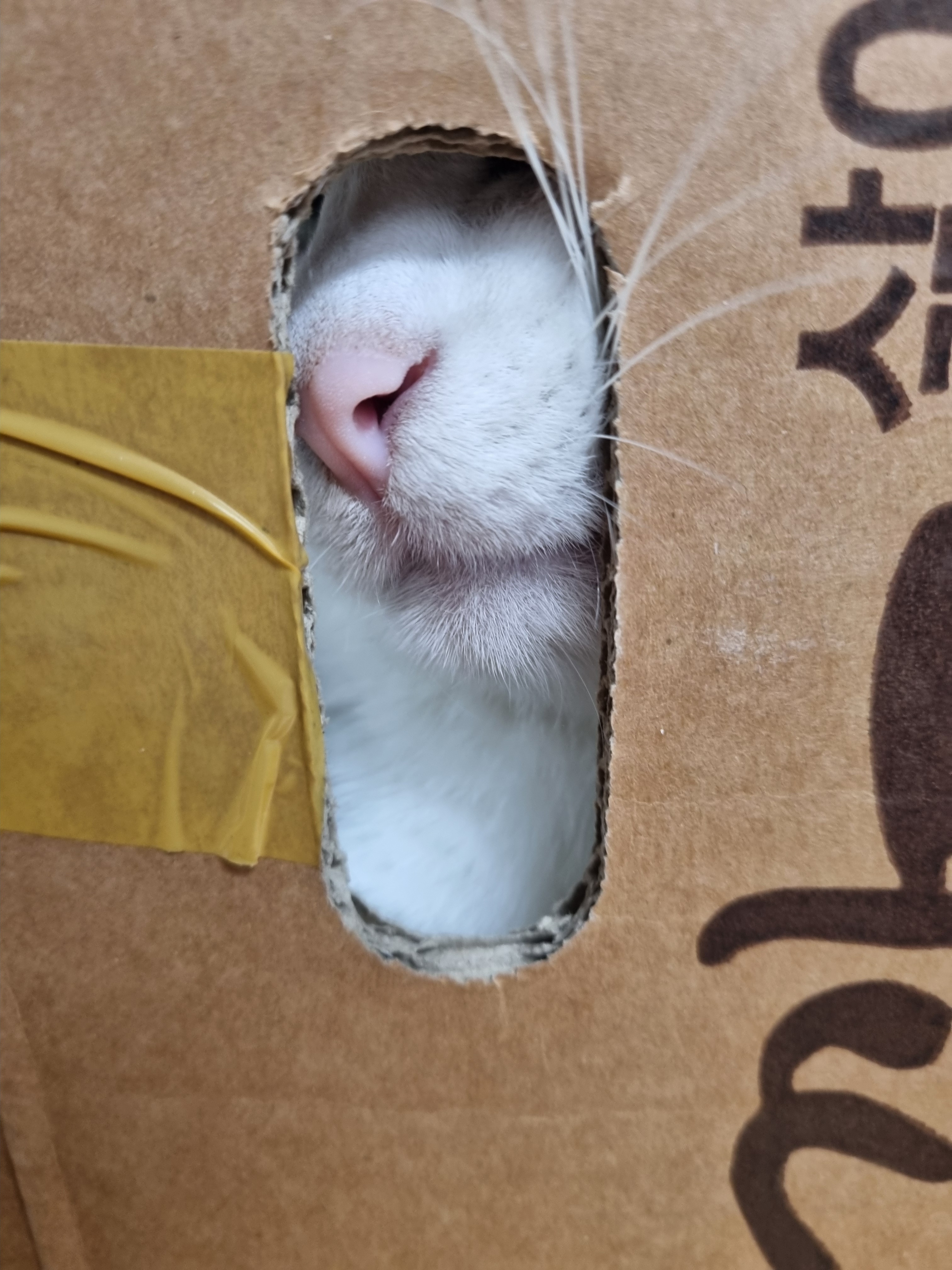 nokbeon.net-이 주길느므 매력-1번 이미지