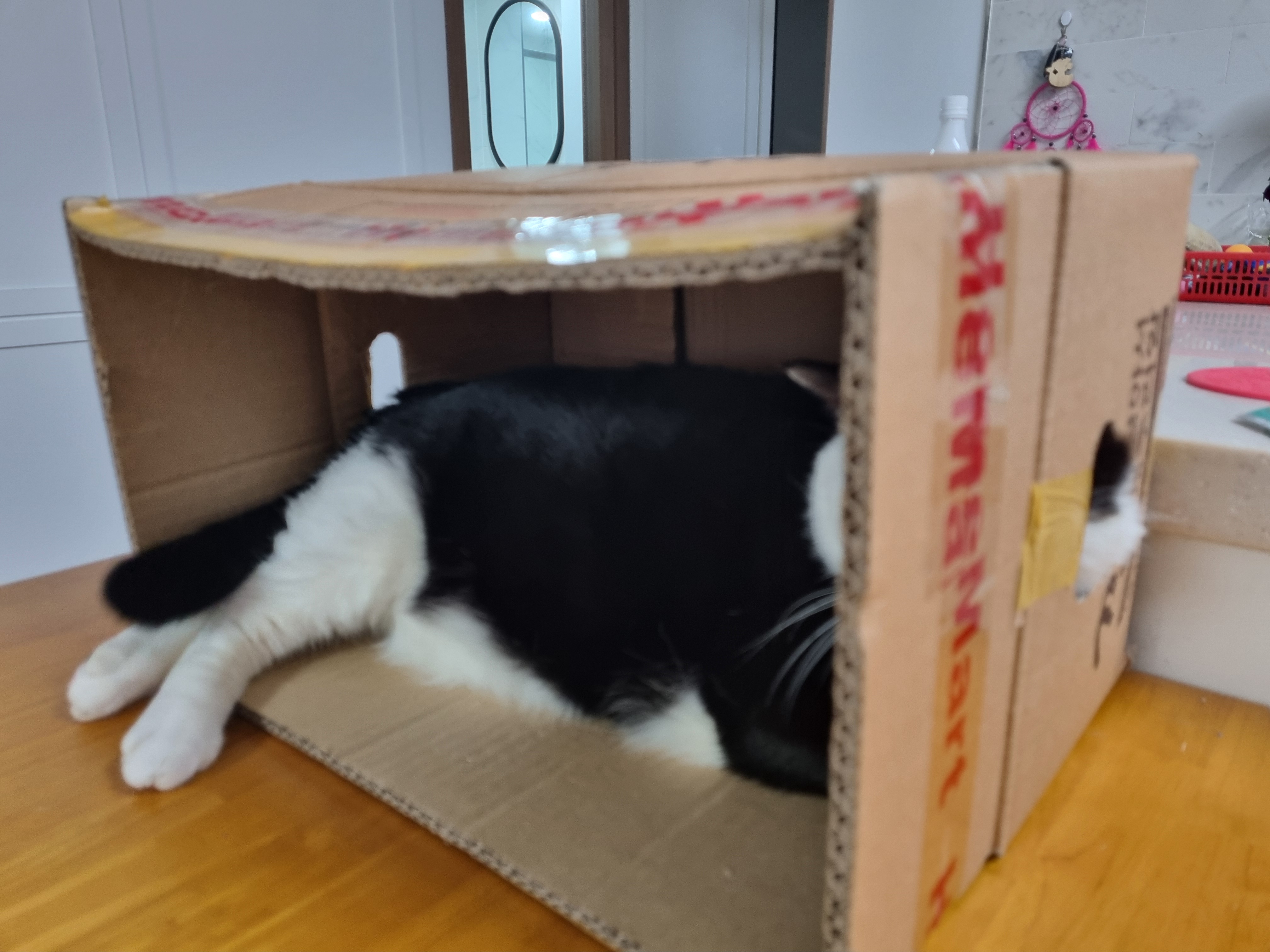 nokbeon.net-이 주길느므 매력-6번 이미지