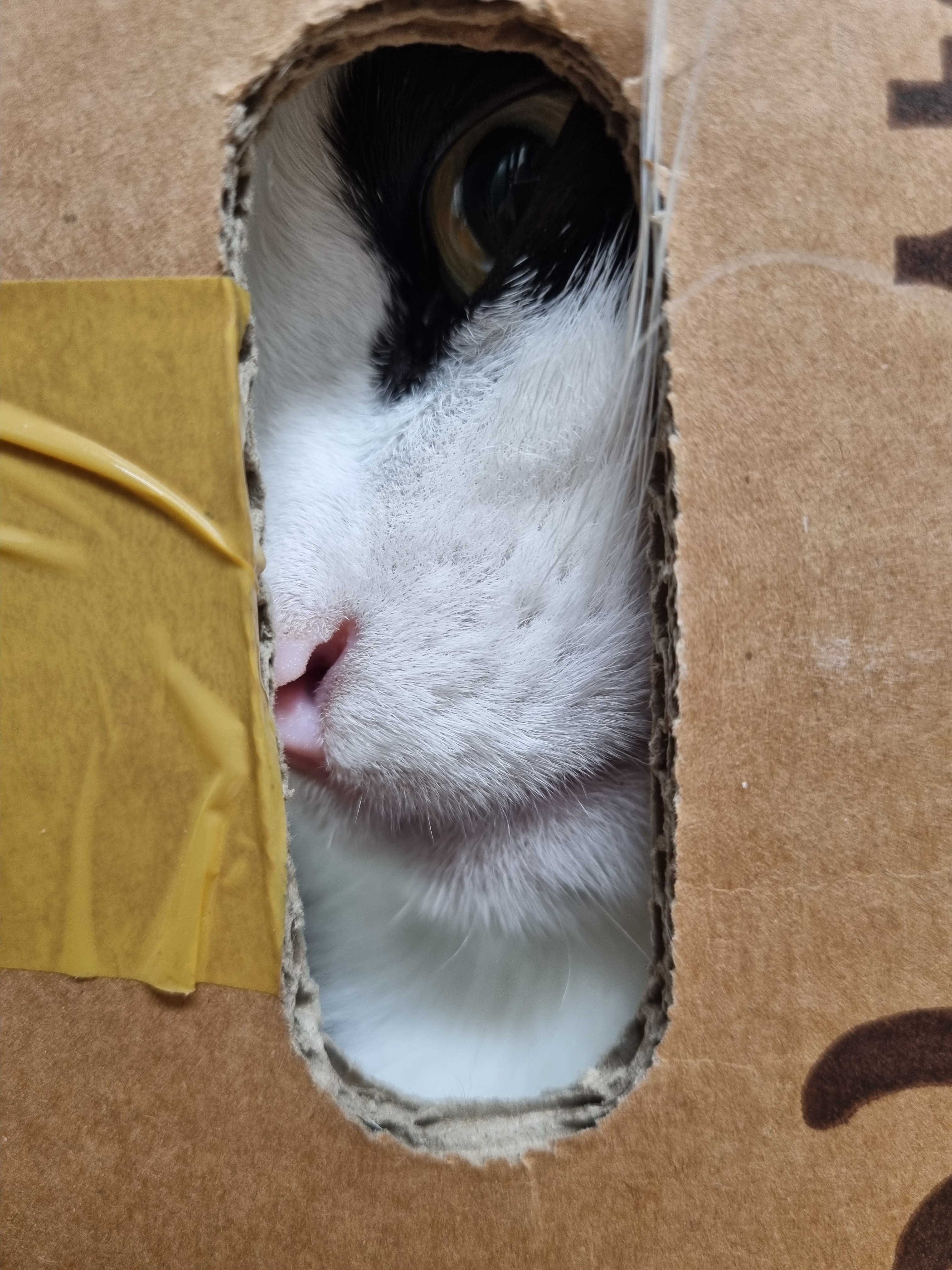 nokbeon.net-이 주길느므 매력-2번 이미지