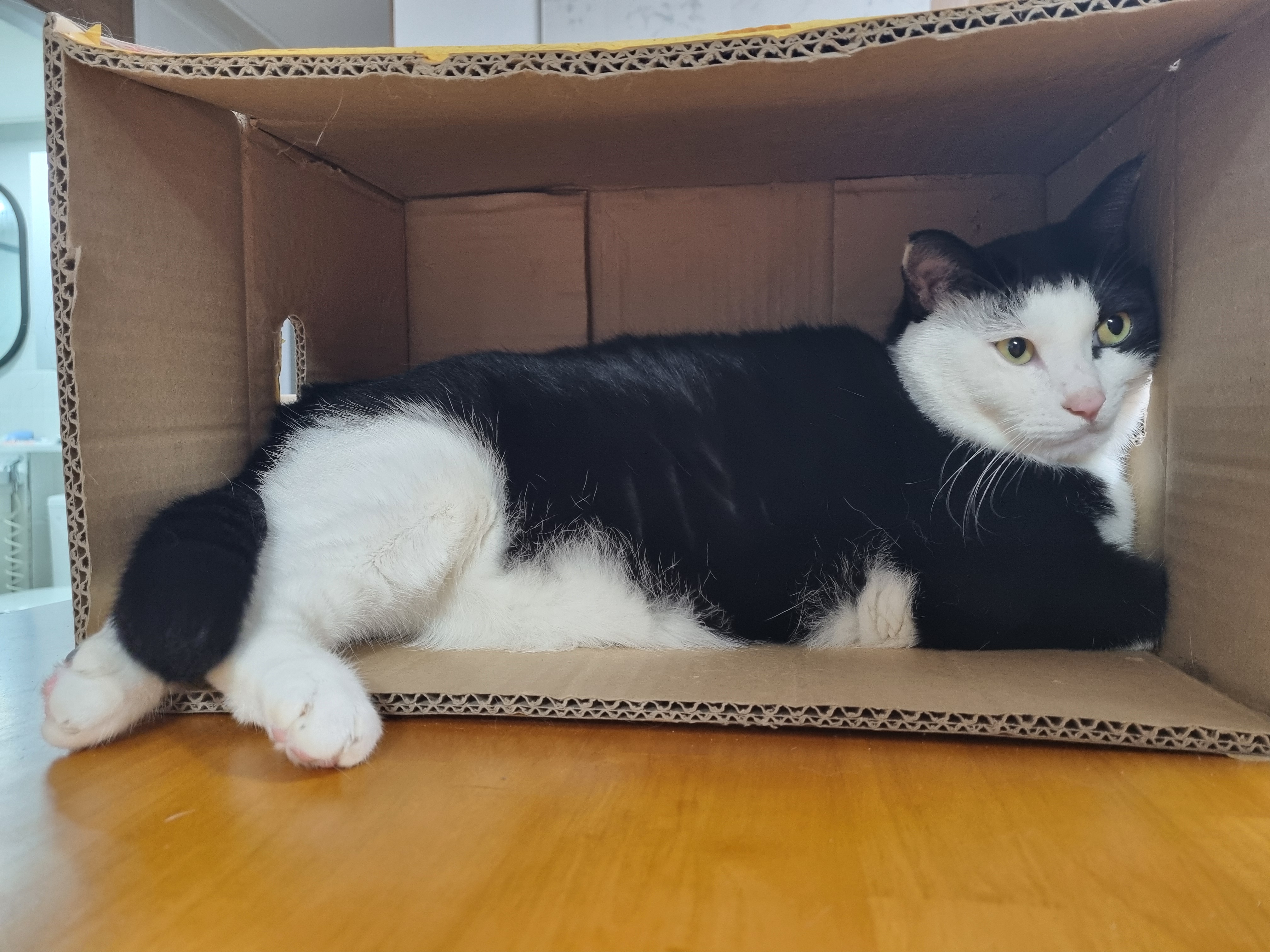 nokbeon.net-이 주길느므 매력-4번 이미지