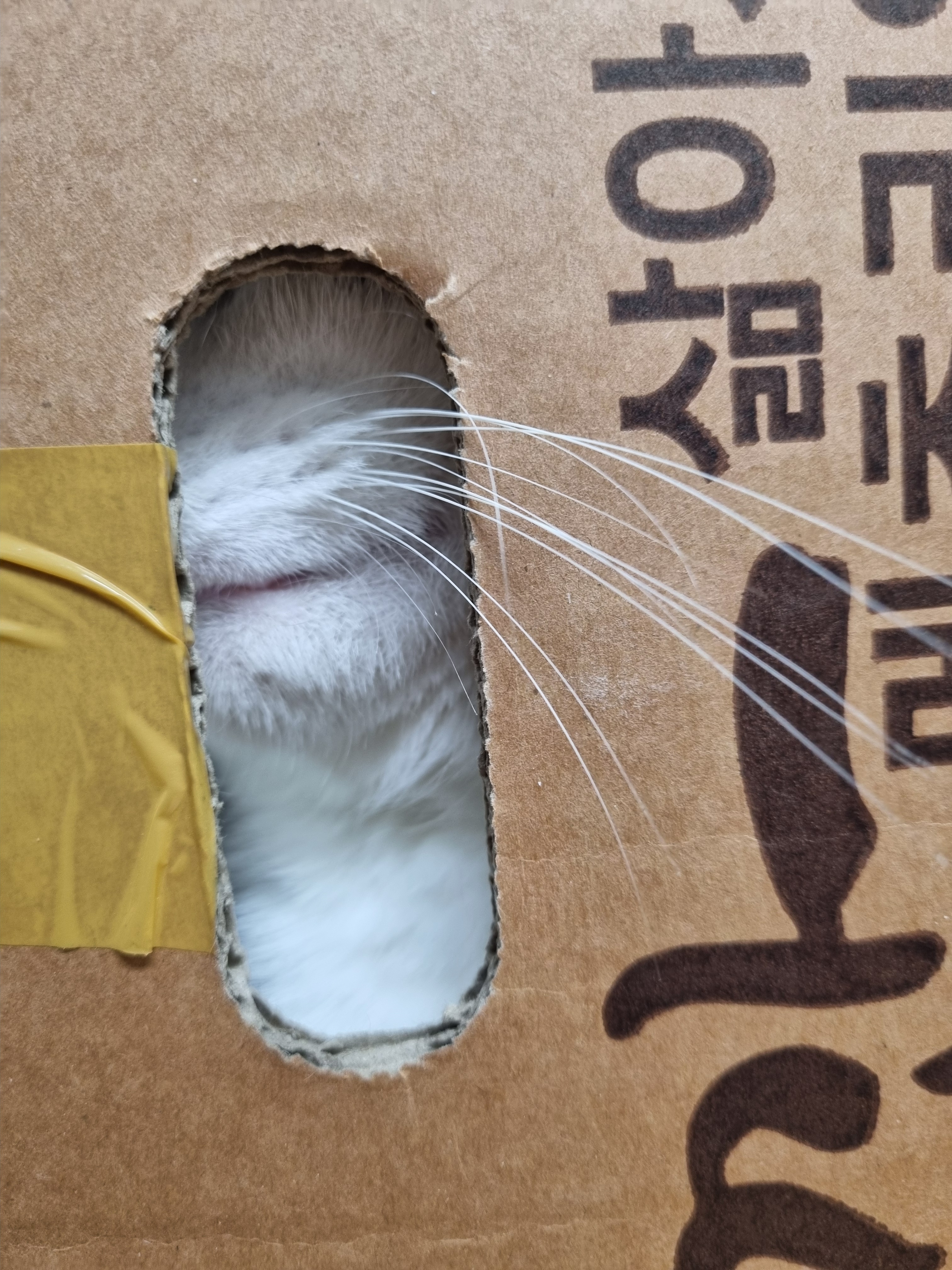 nokbeon.net-이 주길느므 매력-3번 이미지