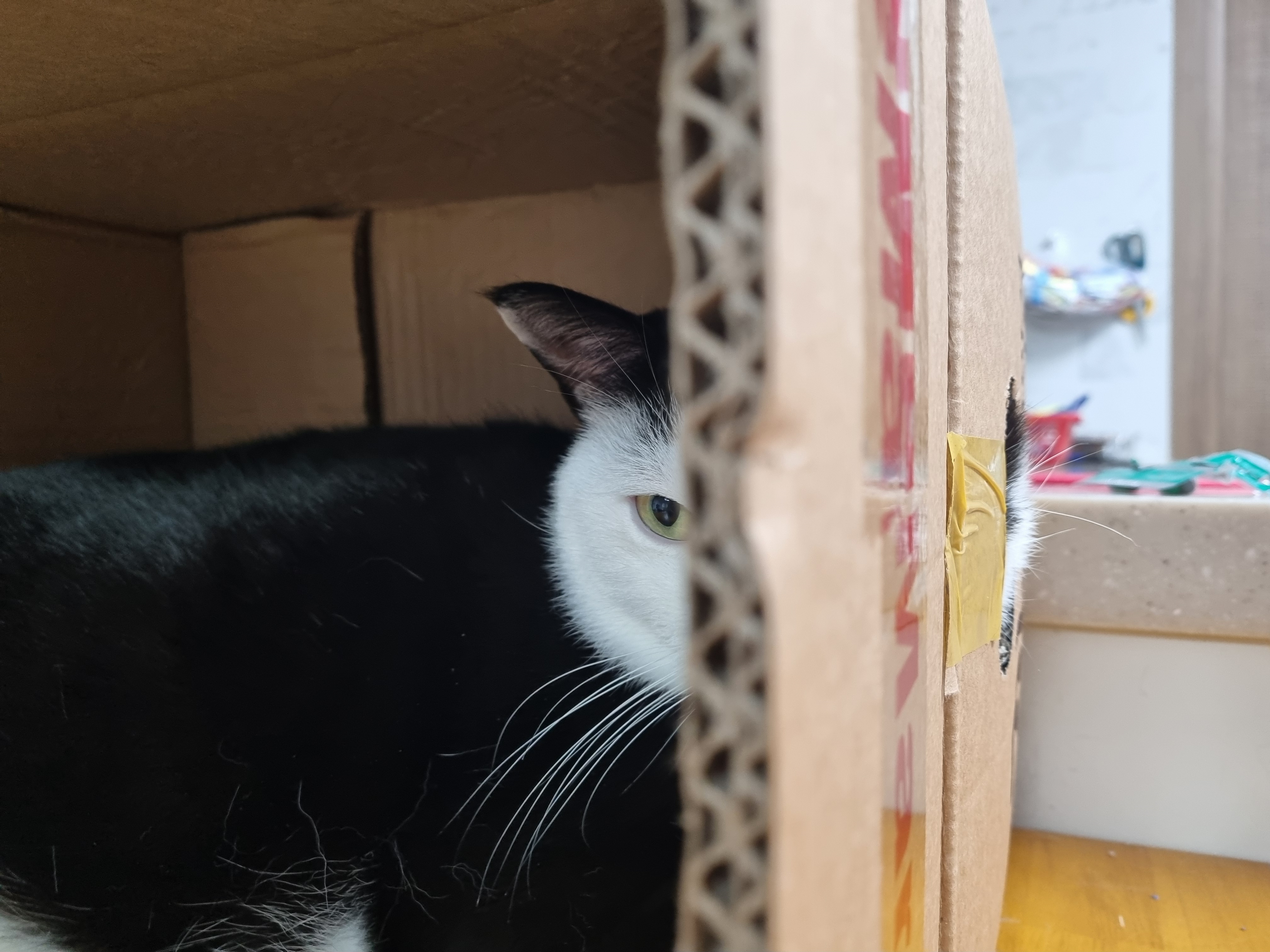 nokbeon.net-이 주길느므 매력-5번 이미지