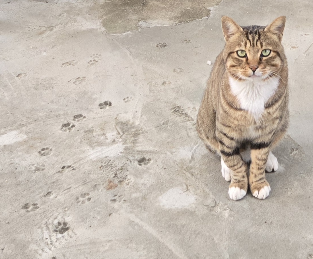 nokbeon.net-가을무 한입 하실래요?-13번 이미지