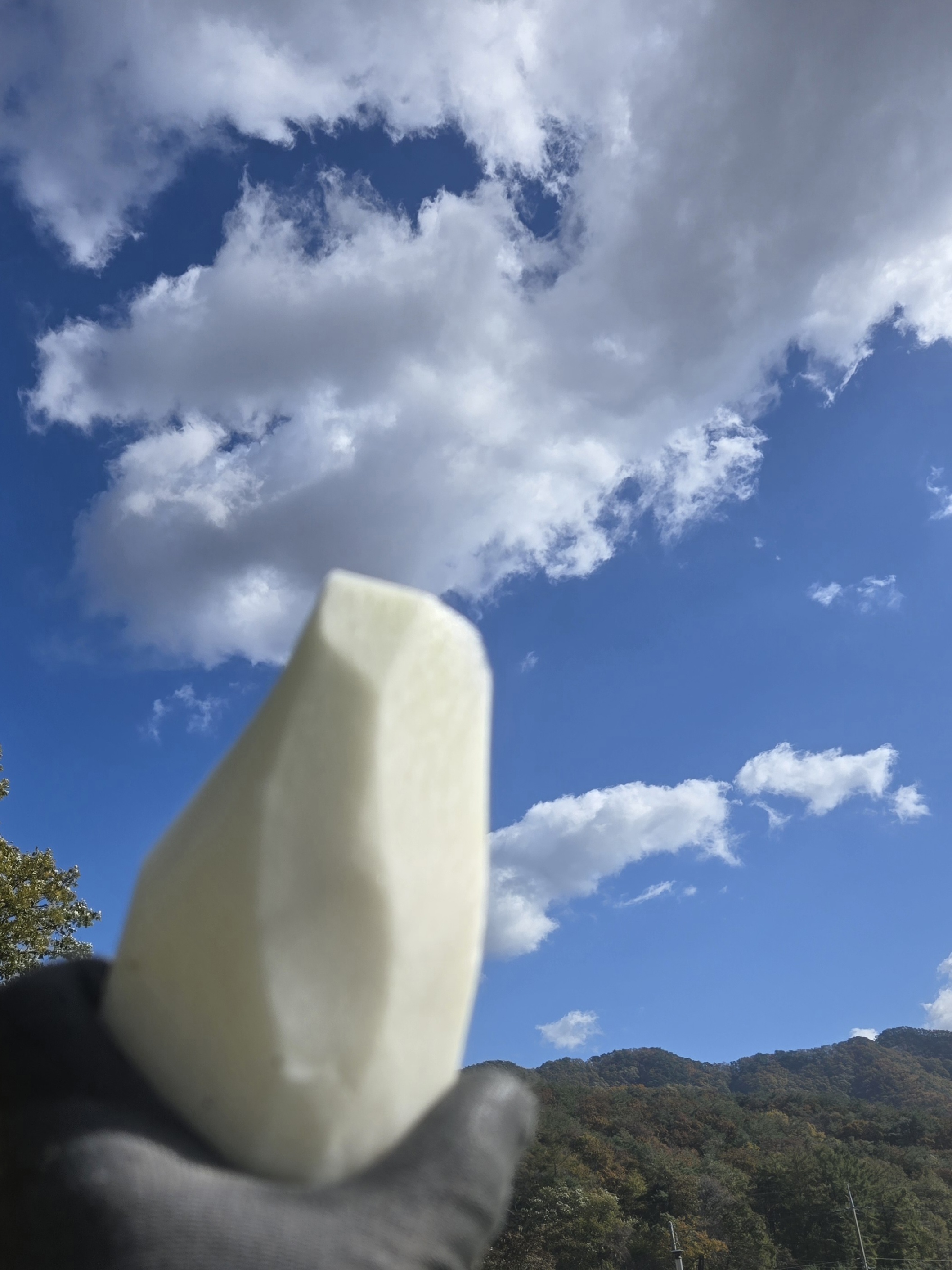 nokbeon.net-가을무 한입 하실래요?-11번 이미지