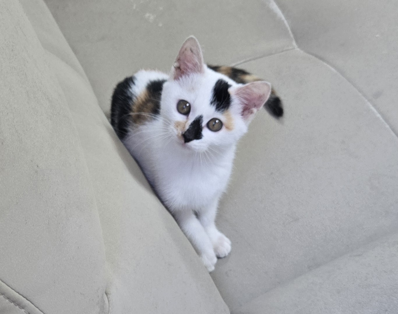 nokbeon.net-행복도 행운도 드려요!-14번 이미지