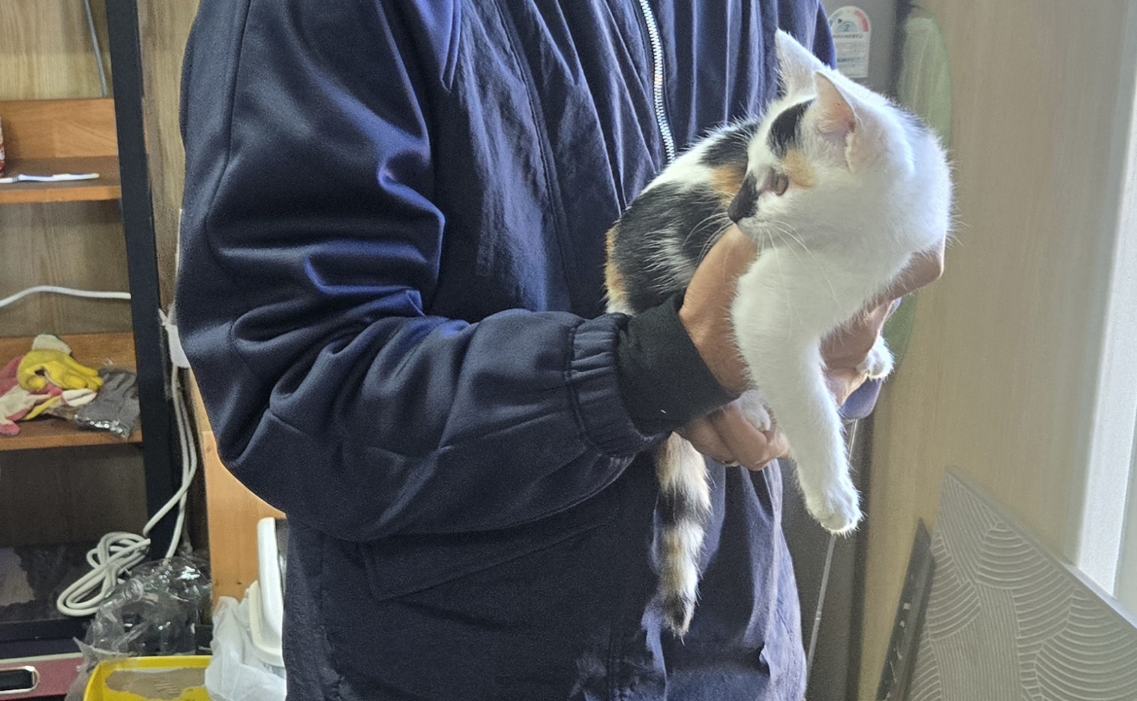 nokbeon.net-행복도 행운도 드려요!-12번 이미지