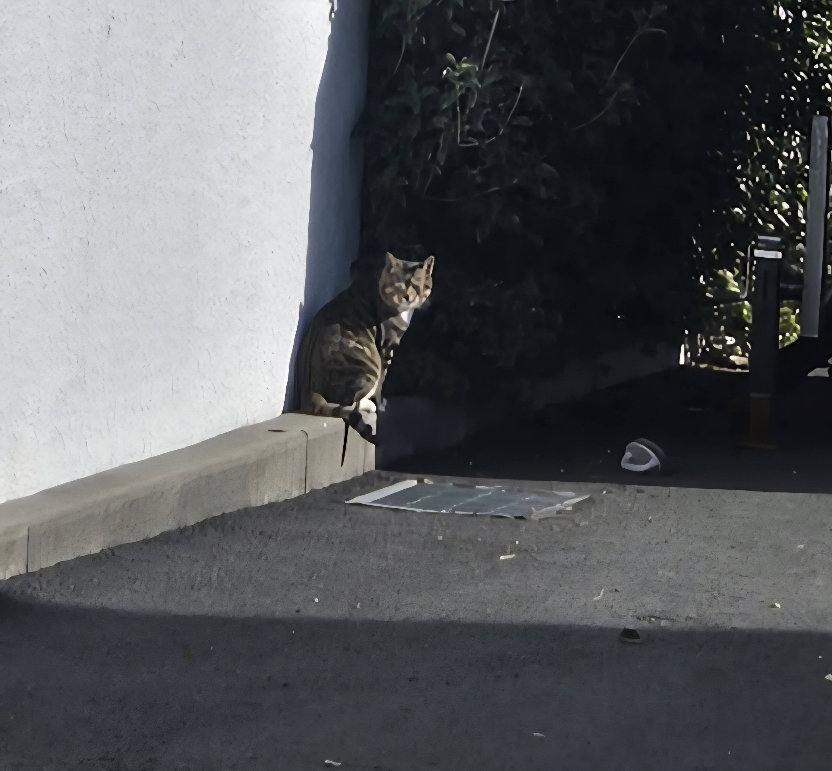 nokbeon.net-행복도 행운도 드려요!-15번 이미지