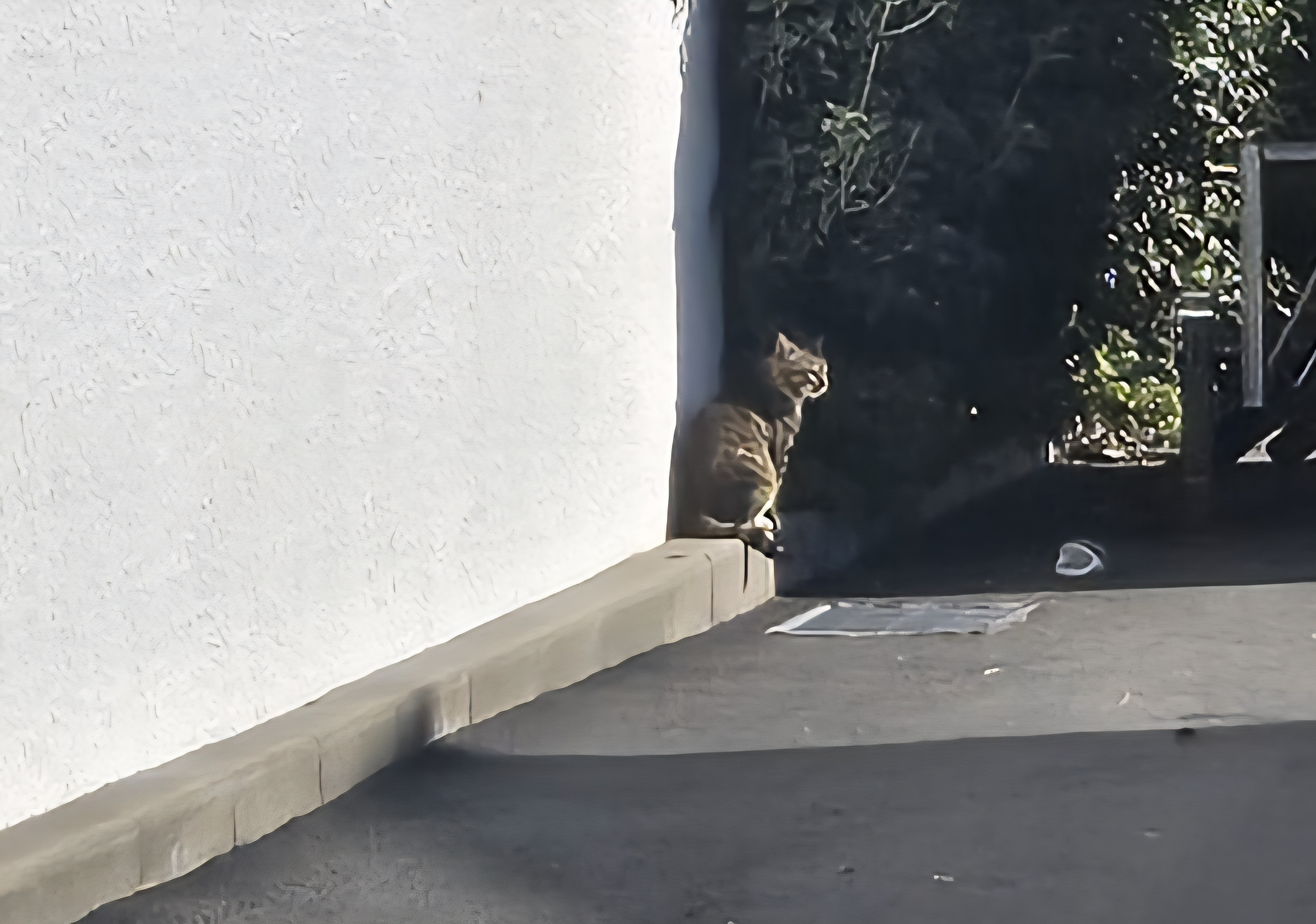 nokbeon.net-행복도 행운도 드려요!-11번 이미지