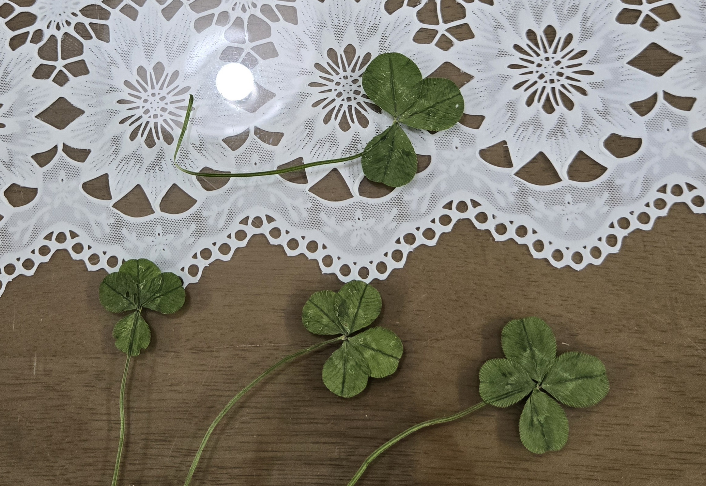 nokbeon.net-행복도 행운도 드려요!-17번 이미지