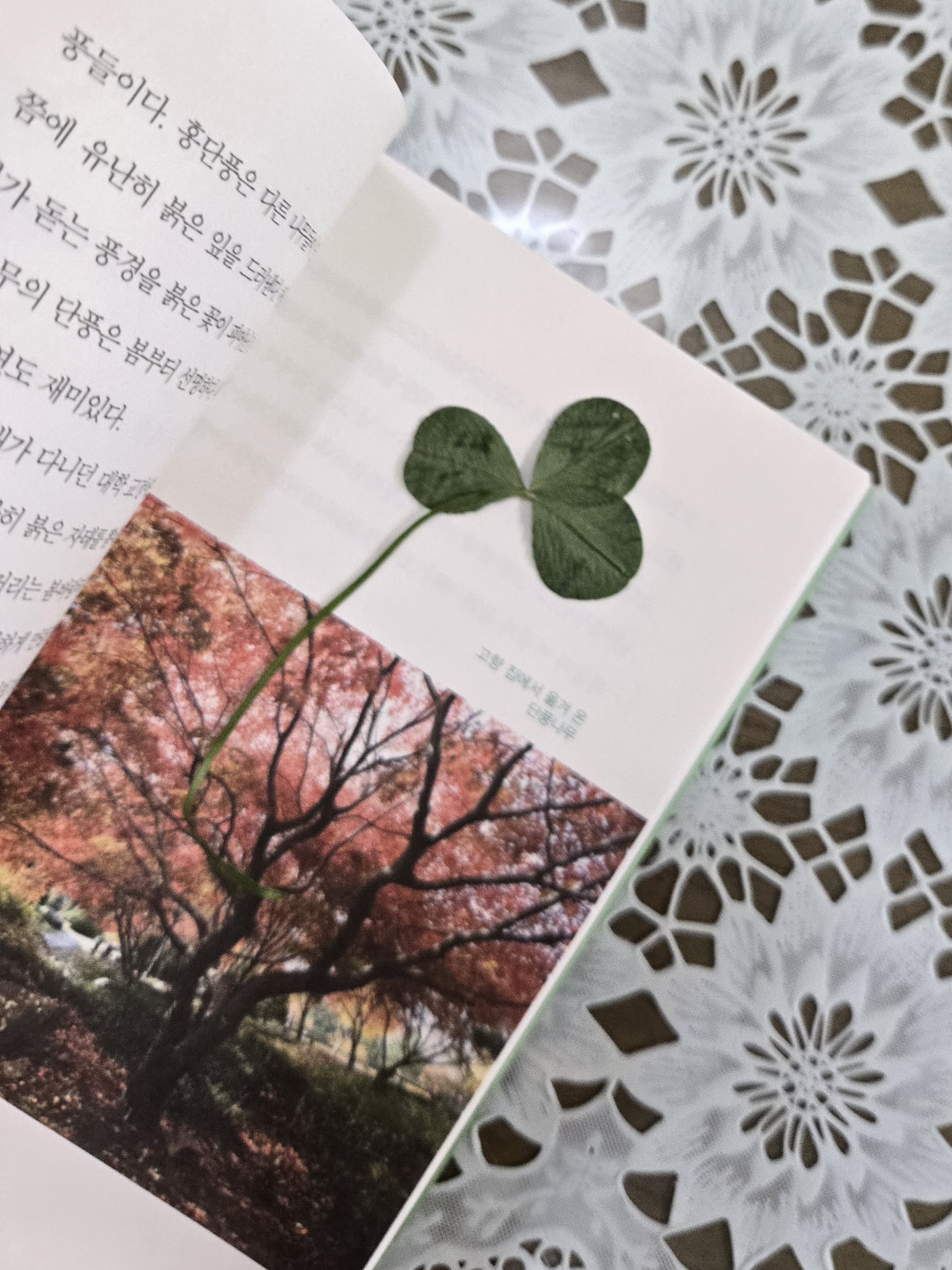 nokbeon.net-행복도 행운도 드려요!-19번 이미지