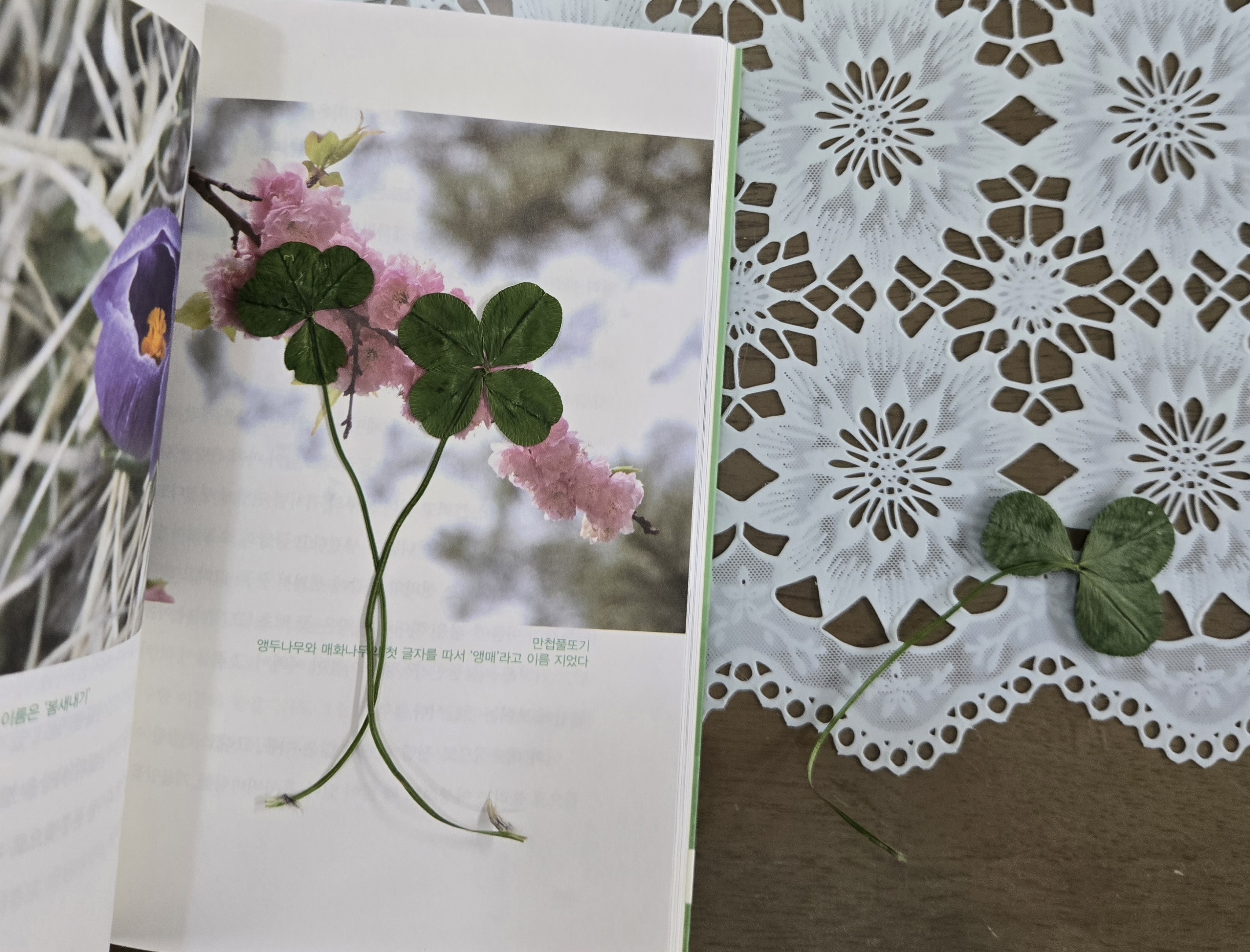 nokbeon.net-행복도 행운도 드려요!-18번 이미지