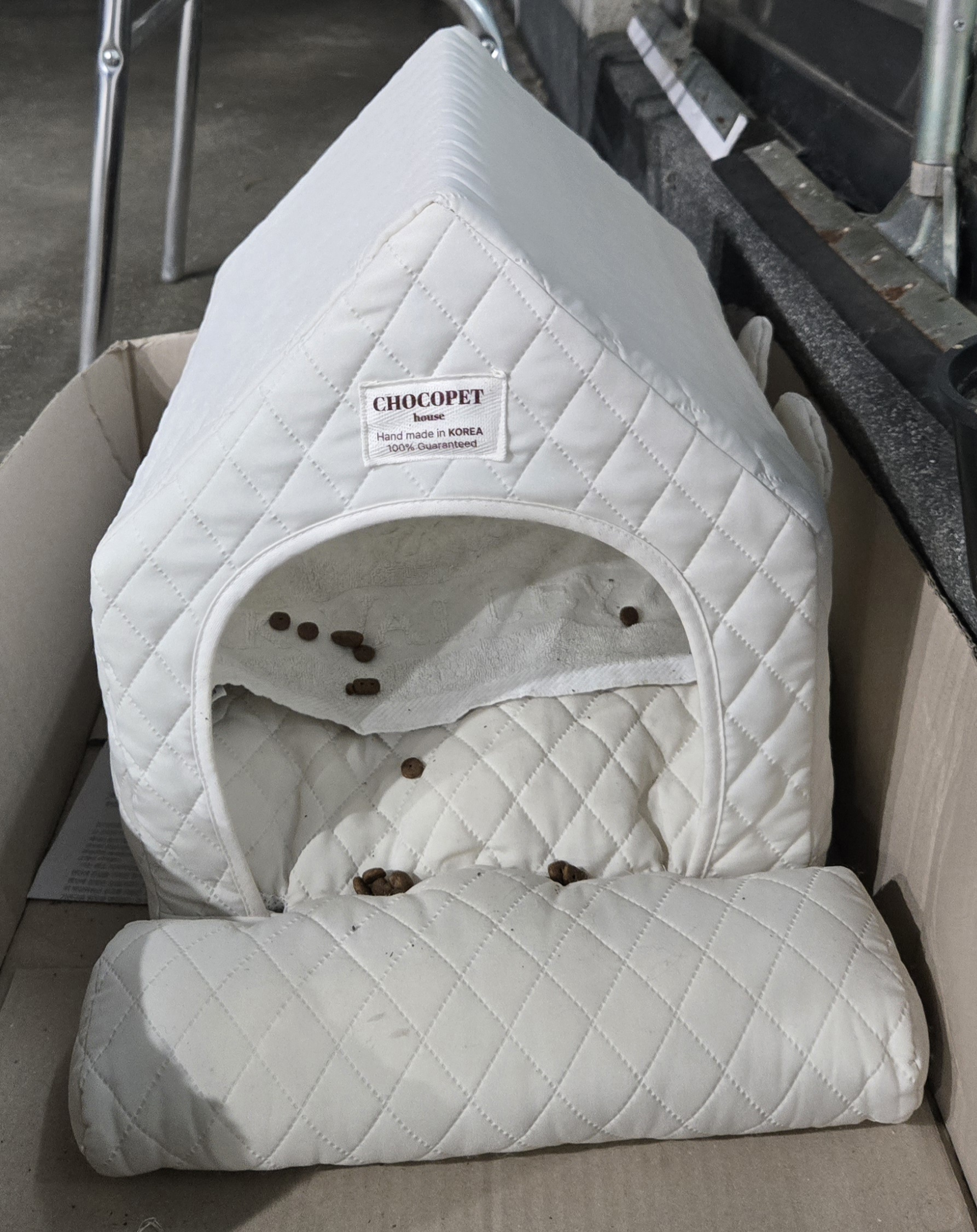 nokbeon.net-유기된 강아지-22번 이미지