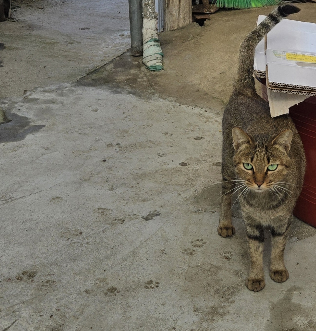 썸네일-간식주세요!!-이미지