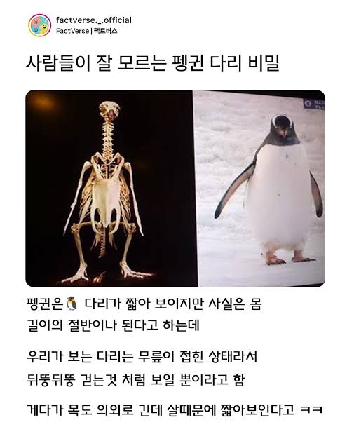 이미지 로딩중