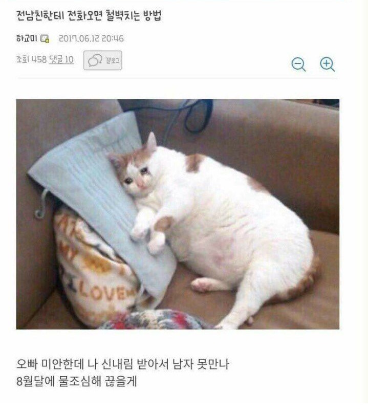 전남친한테 전화오면 철벽치는 방법 | 인스티즈