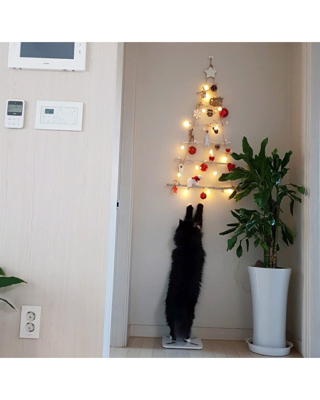 벽에 거는 트리 제품 리뷰 상태.jpg | 인스티즈