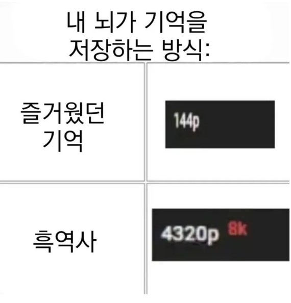 뇌가 기억을 저장하는 방식.jpg | 인스티즈