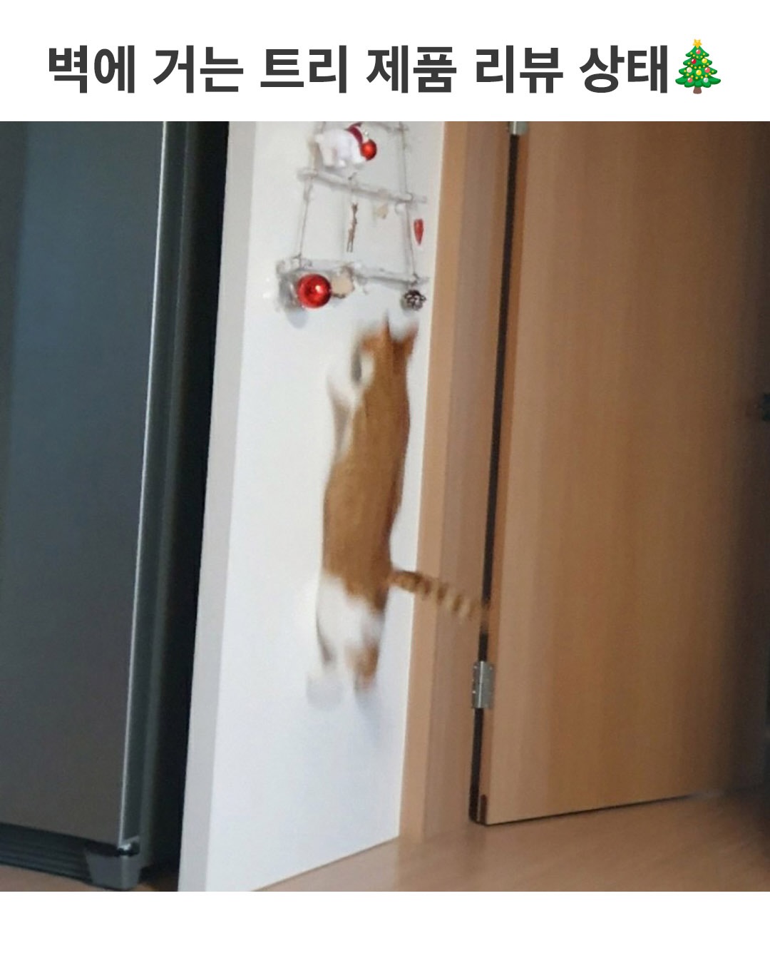 벽에 거는 트리 제품 리뷰 상태.jpg | 인스티즈