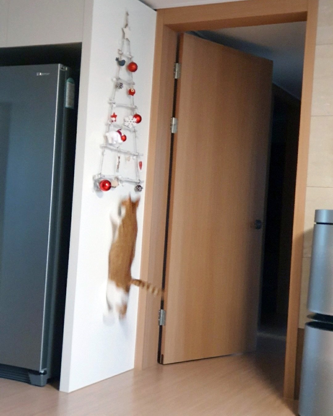 벽에 거는 트리 제품 리뷰 상태.jpg | 인스티즈