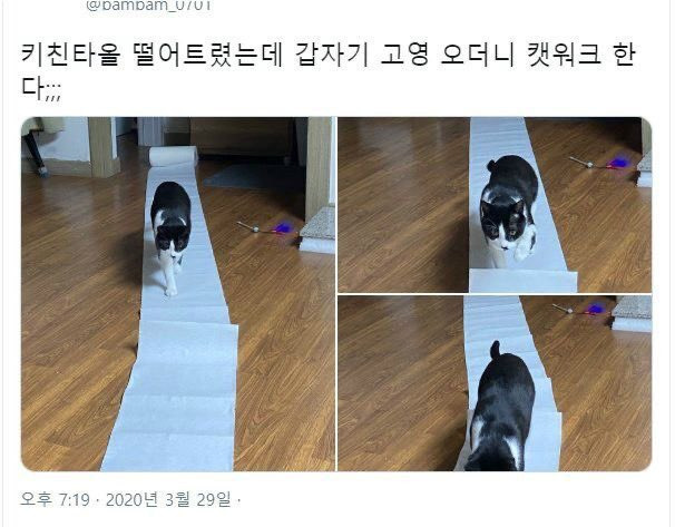 너무 자연스러웠던 캣워크 | 인스티즈