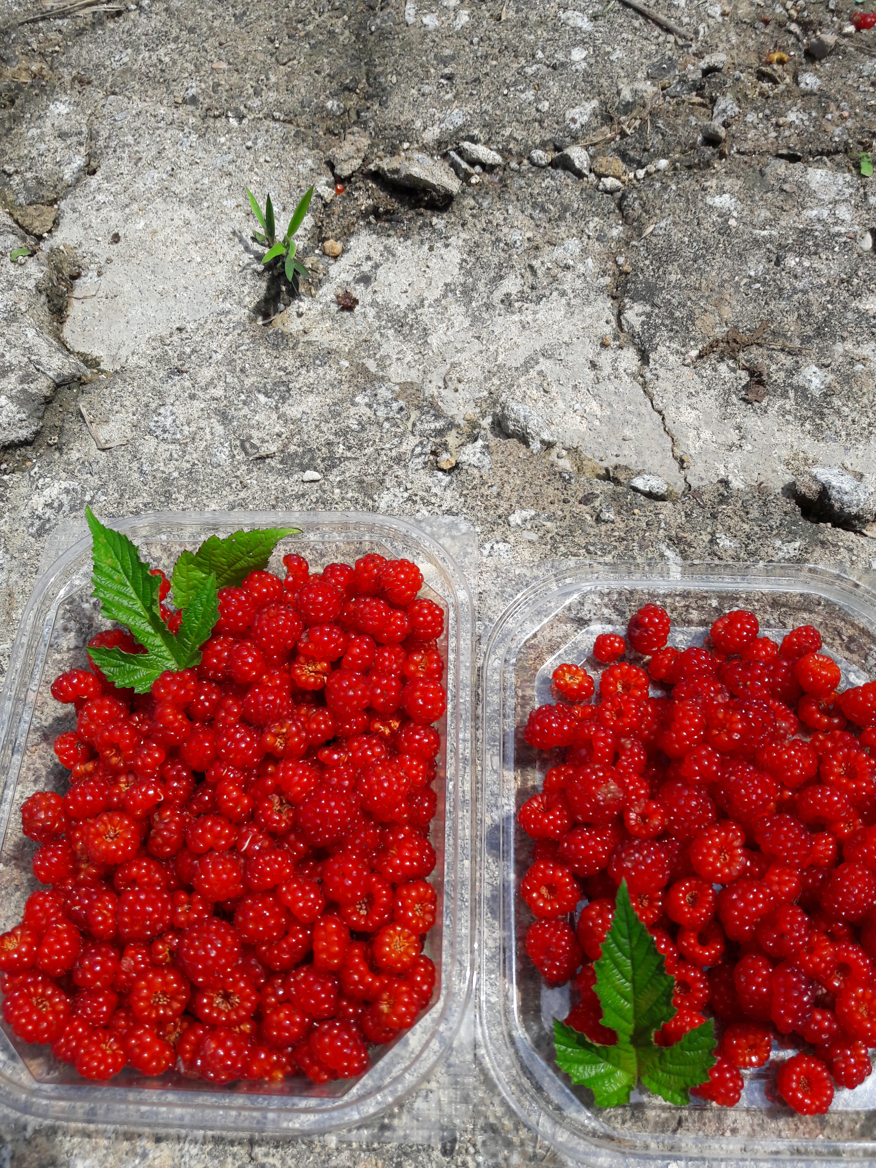 nokbeon.net-추울때는 빨간맛!-3번 이미지