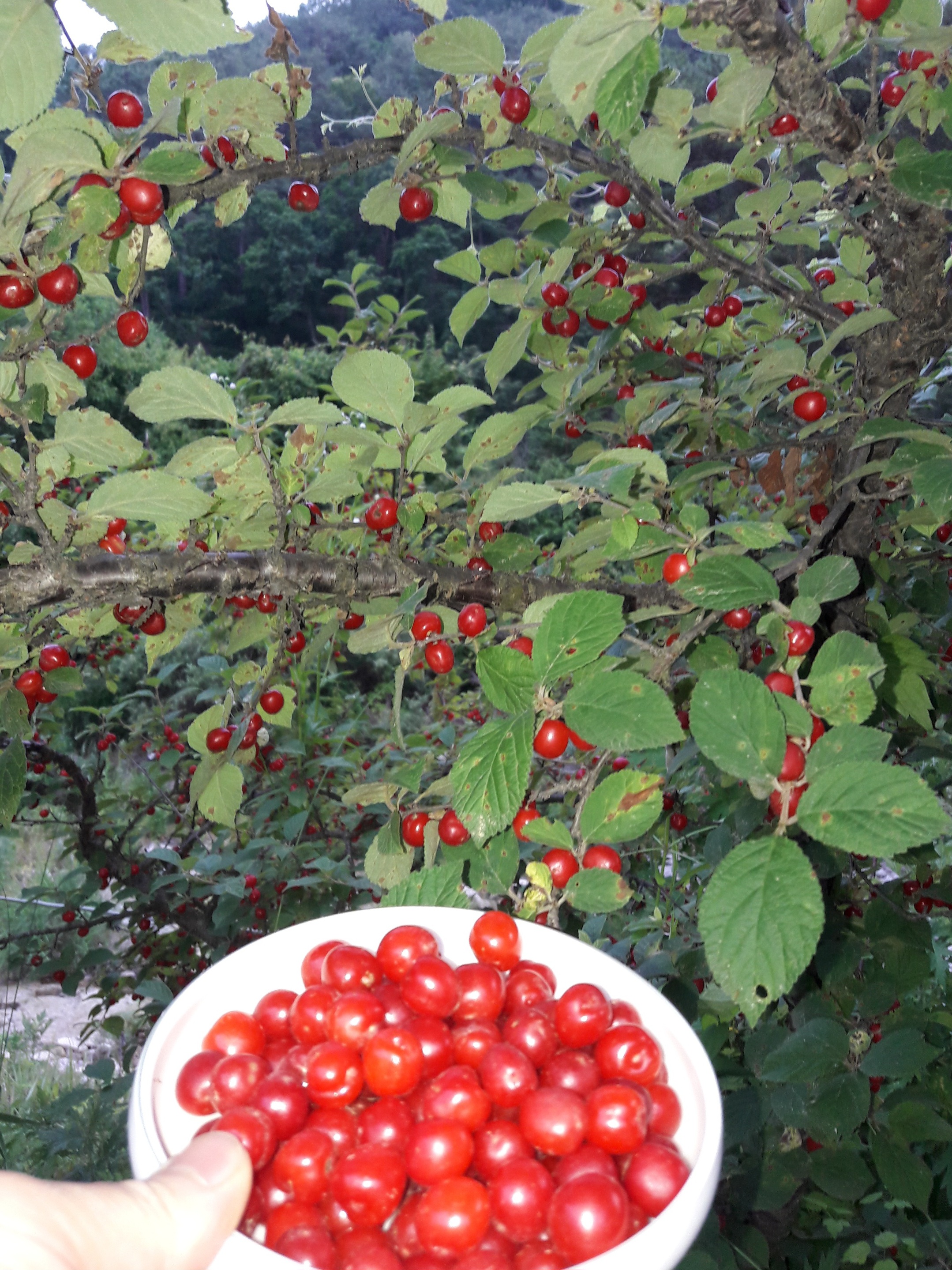 nokbeon.net-추울때는 빨간맛!-10번 이미지