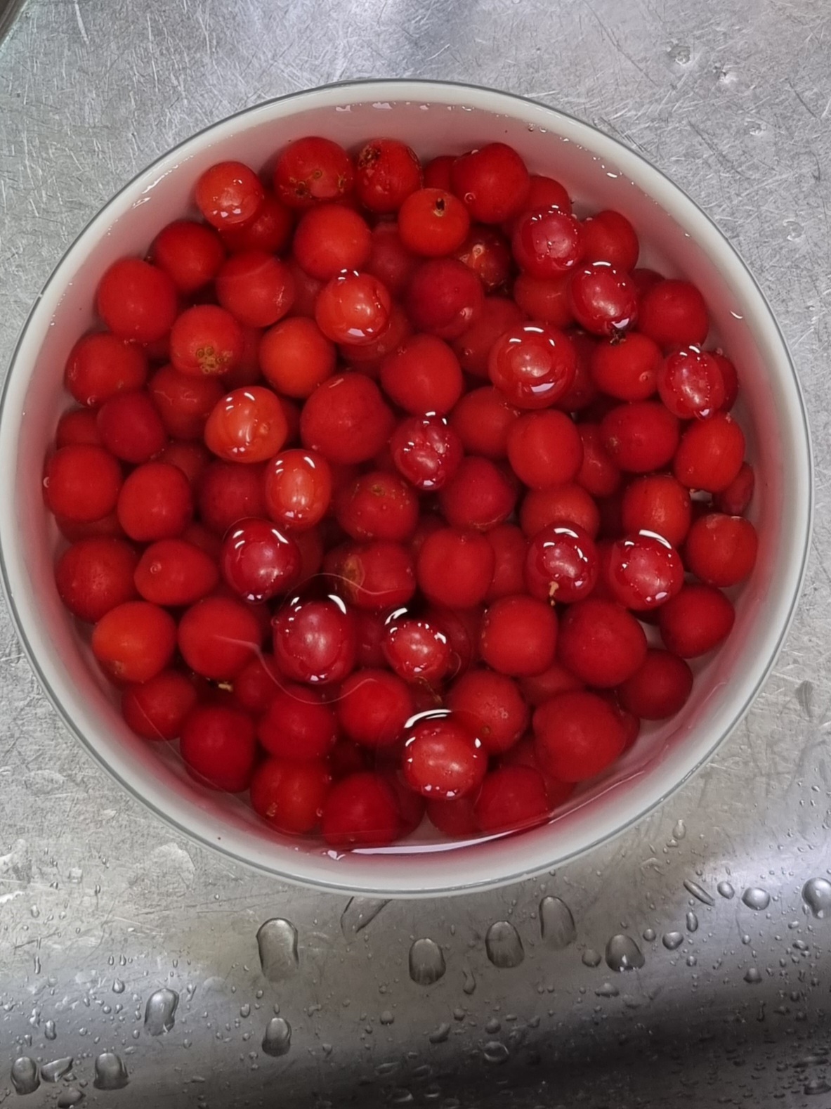 nokbeon.net-추울때는 빨간맛!-1번 이미지