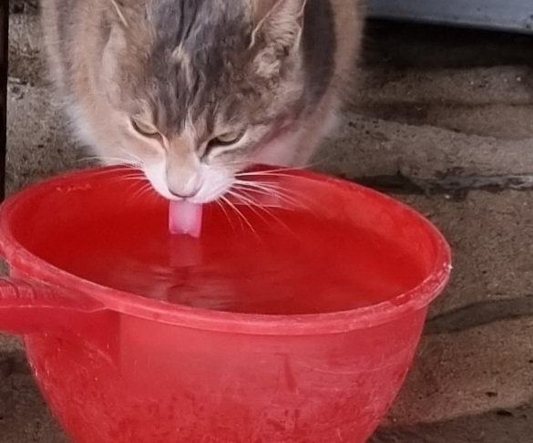 nokbeon.net-추울때는 빨간맛!-2번 이미지