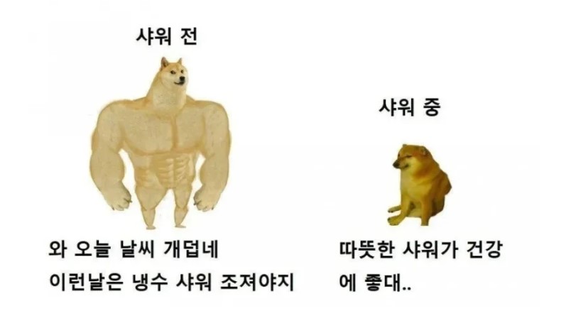 한여름 샤워했을 때 특징..jpg | 인스티즈