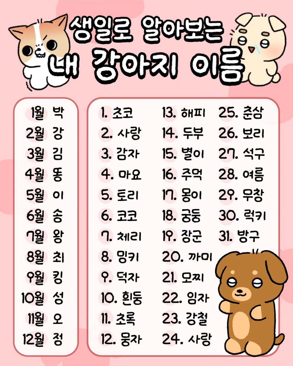 생일로 알아보는 내 강아지 이름 | 인스티즈