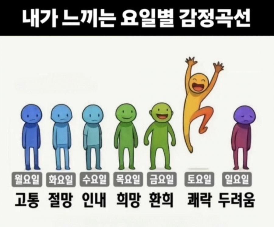 감정 곡선 | 인스티즈