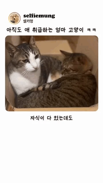 자식은 다 컸어도 부모 눈에는 .. | 인스티즈