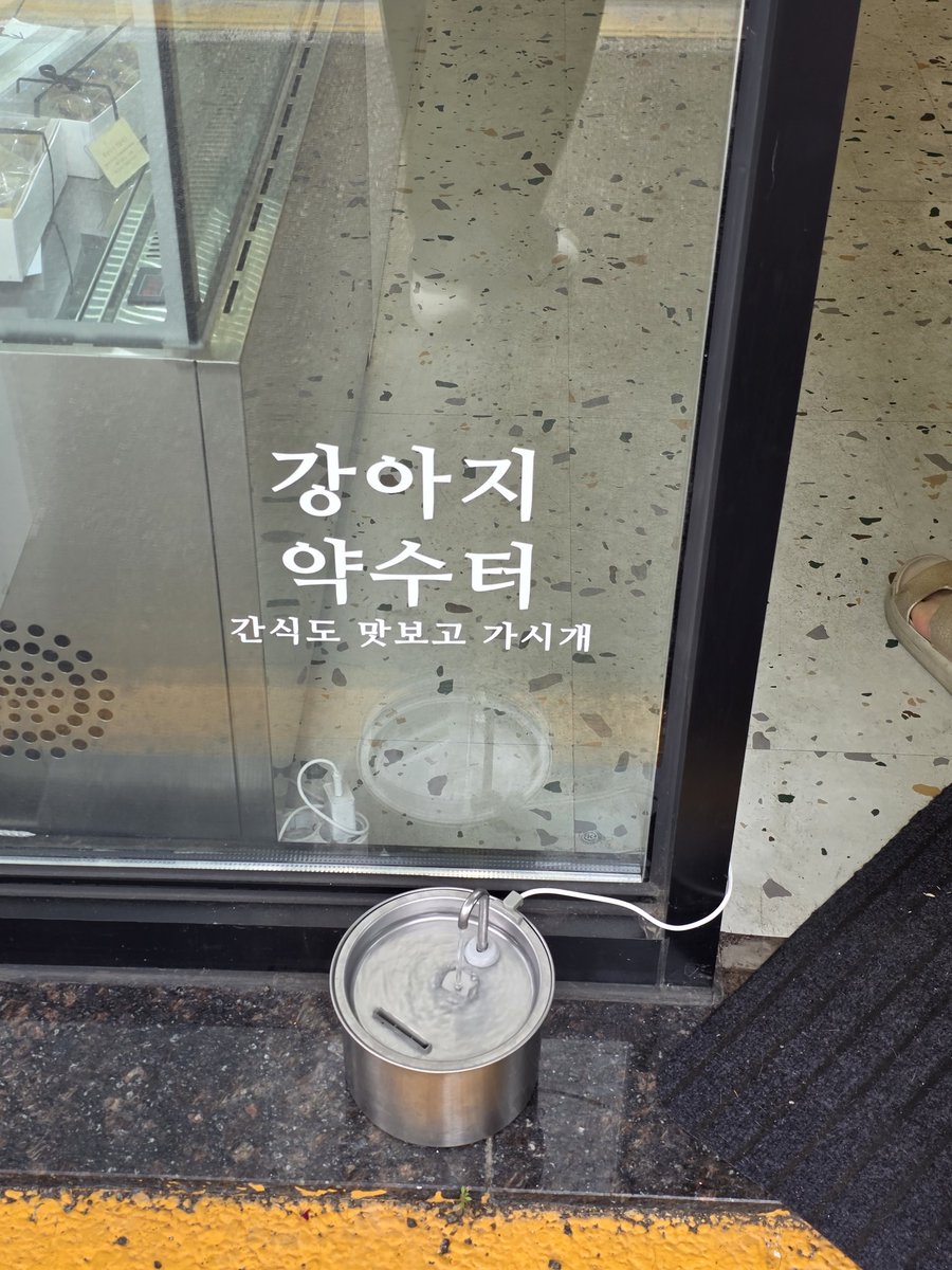 강아지 약수터래... | 인스티즈