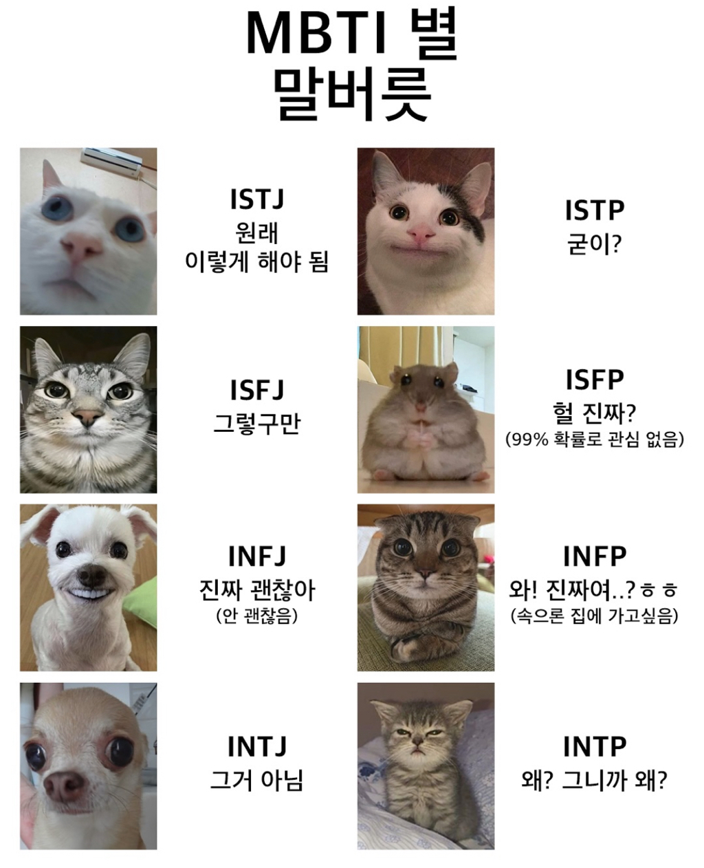 MBTI별 말버릇 | 인스티즈