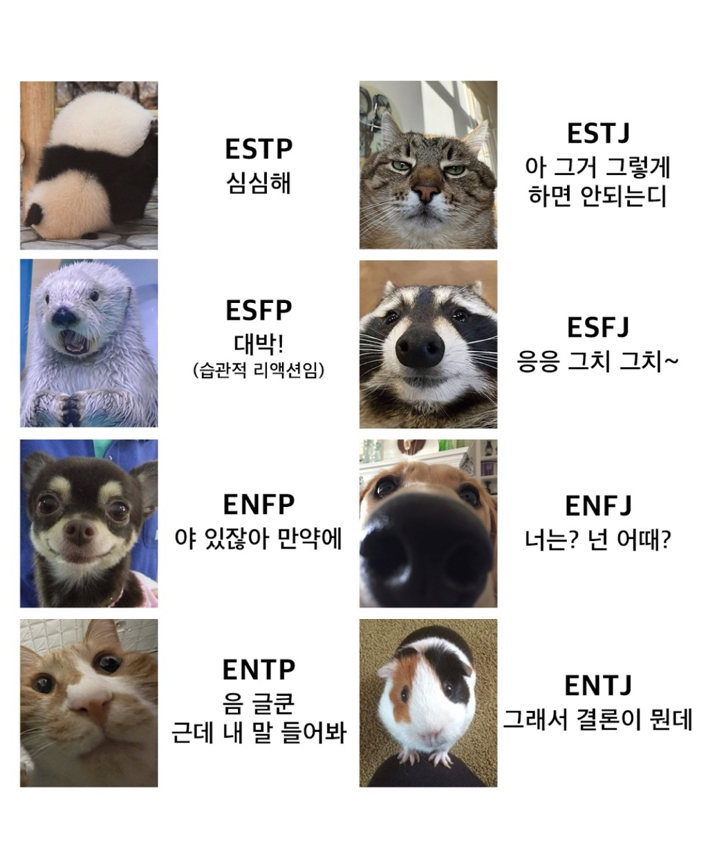 MBTI별 말버릇 | 인스티즈