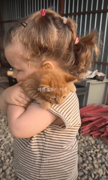 고양이 안고 있는 애기 | 인스티즈